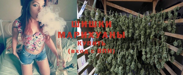 винт Лагань