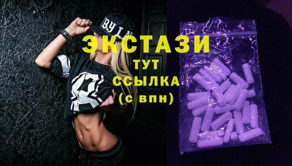винт Лагань