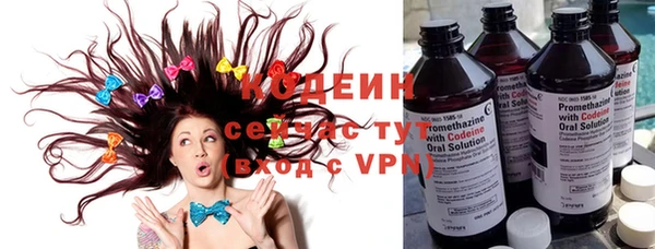 винт Лагань