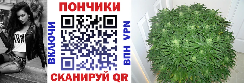Купить закладки  Харабали  Конопля White Widow 